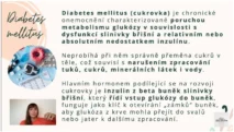 Odborný výklad farmaceutky o&nbsp;mechanismu inzulínu a&nbsp;diabetu mellitu pro&nbsp;kurz hormonální jógy certifikované lektorky Martiny Bajerové.