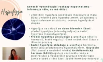 Odborný výklad farmaceutky o&nbsp;funkci hypofýzy, produkci oxytocinu a&nbsp;regulaci endokrinních žláz v&nbsp;rámci vzdělávací části kurzu hormonální jógy certifikované lektorky Martiny Bajerová.