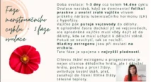Odborný výklad farmaceutky o&nbsp;procesu ovulace, vlivu luteinizačního hormonu (LH) z&nbsp;hypofýzy a&nbsp;uvolnění zralého vajíčka v&nbsp;kurzu hormonální jógy.