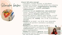Odborný výklad farmaceutky o&nbsp;slinivce břišní, produkci inzulínu v&nbsp;Langerhansových ostrůvcích a&nbsp;regulaci hladiny cukru v&nbsp;krvi v&nbsp;kurzu hormonální jógy certifikované lektorky Martiny Bajerové.