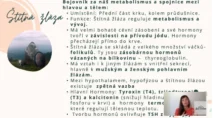 Odborný výklad farmaceutky o&nbsp;štítné žláze, hormonech tyroxin T4 a&nbsp;trijodtyronin T3 a&nbsp;vlivu jódu na&nbsp;metabolismus v&nbsp;kurzu hormonální jógy certifikované lektorky Martiny Bajerové.