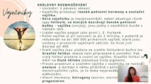 Odborný výklad farmaceutky o&nbsp;funkci vaječníků, dozrávání oocytů v&nbsp;Graafově folikulu a&nbsp;produkci estrogenů a&nbsp;progesteronu v&nbsp;rámci kurzu hormonální jógy certifikované lektorky Martiny Bajerové.