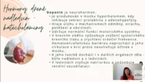 Odborný výklad farmaceutky o&nbsp;hormonech dřeně nadledvin a&nbsp;funkci dopaminu pro&nbsp;kurz hormonální jógy certifikované lektorky Martiny Bajerové.