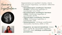 Odborný výklad farmaceutky o&nbsp;hormonech hypothalamu a&nbsp;hypofýzy v&nbsp;rámci lekce pro&nbsp;kurz hormonální jógy certifikované lektorky Martiny Bajerové.
