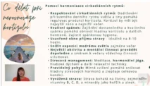 Odborný výklad farmaceutky o&nbsp;regulaci kortizolu pomocí cirkadiánních rytmů, spánkové hygieny a&nbsp;výživy pro&nbsp;kurz hormonální jógy certifikované lektorky Martiny Bajerové.