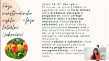 Odborný výklad farmaceutky o&nbsp;luteální fázi menstruačního cyklu, funkci žlutého tělíska a&nbsp;vlivu hormonů na&nbsp;děložní sliznici v&nbsp;kurzu hormonální jógy.