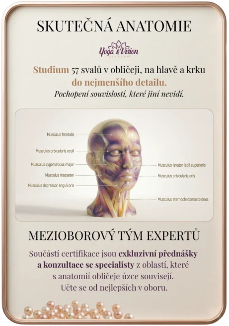 Detailní anatomický model svalů obličeje a krku s popisy v latině. Grafika představuje studium skutečné anatomie a mezioborový tým expertů v rámci Yoga & Vision Academy pod vedením Martiny Bajerové.