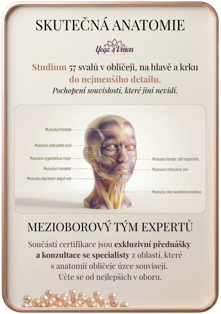 Detailní anatomický model svalů obličeje a krku s popisy v latině. Grafika představuje studium skutečné anatomie a mezioborový tým expertů v rámci Yoga & Vision Academy pod vedením Martiny Bajerové.